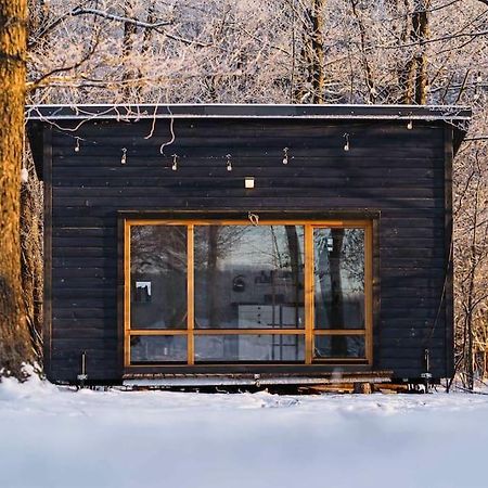 Beautiful Tiny House On The Lake Side. Trakai Exterior photo